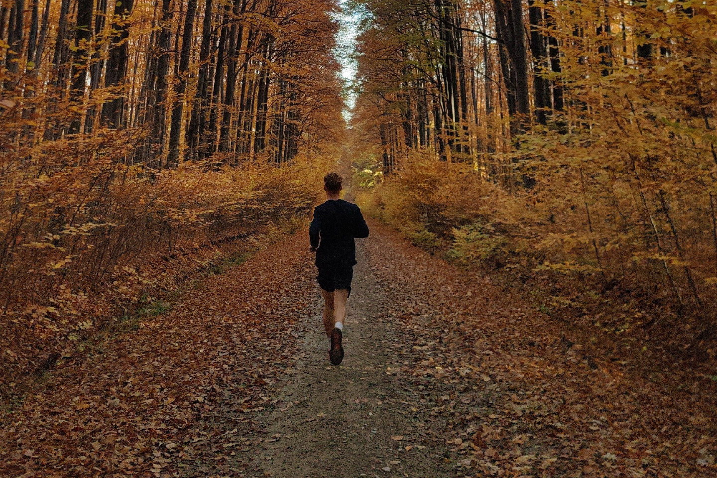 Fall Is the Perfect Time to Start a Fitness Routine